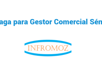 Vaga para Gestor Comercial Sénior