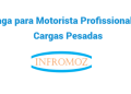 Vaga para Motorista Profissional de Cargas Pesadas