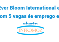 A Ever Bloom International está com 5 vagas de emprego em aberto. Candidata-se já!