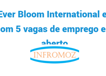 A Ever Bloom International está com 5 vagas de emprego em aberto. Candidata-se já!