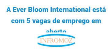 A Ever Bloom International está com 5 vagas de emprego em aberto. Candidata-se já!