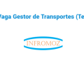 Vaga Gestor de Transportes (Tete)