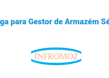 Vaga para Gestor de Armazém Sénior