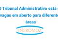 O Tribunal Administrativo está com 5 vagas em aberto para diferentes áreas