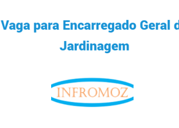 Vaga para Encarregado Geral de Jardinagem
