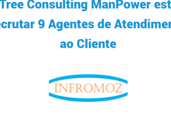 A Tree Consulting está a recrutar 9 Agentes de Atendimento ao Cliente