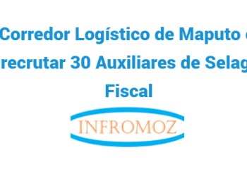 A CLM Está a Recrutar 30 Auxiliares de Selagem Fiscal
