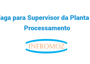 A Montepuez Ruby Mining está a recrutar (1) Supervisor da Planta de Processamento
