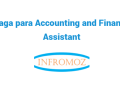 Vaga para Accounting and Finance Assistant