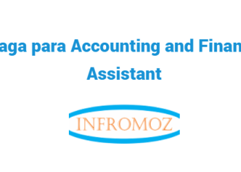 Vaga para Accounting and Finance Assistant