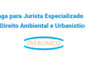 Vaga para Jurista Especializado em Direito Ambiental e Urbanístico